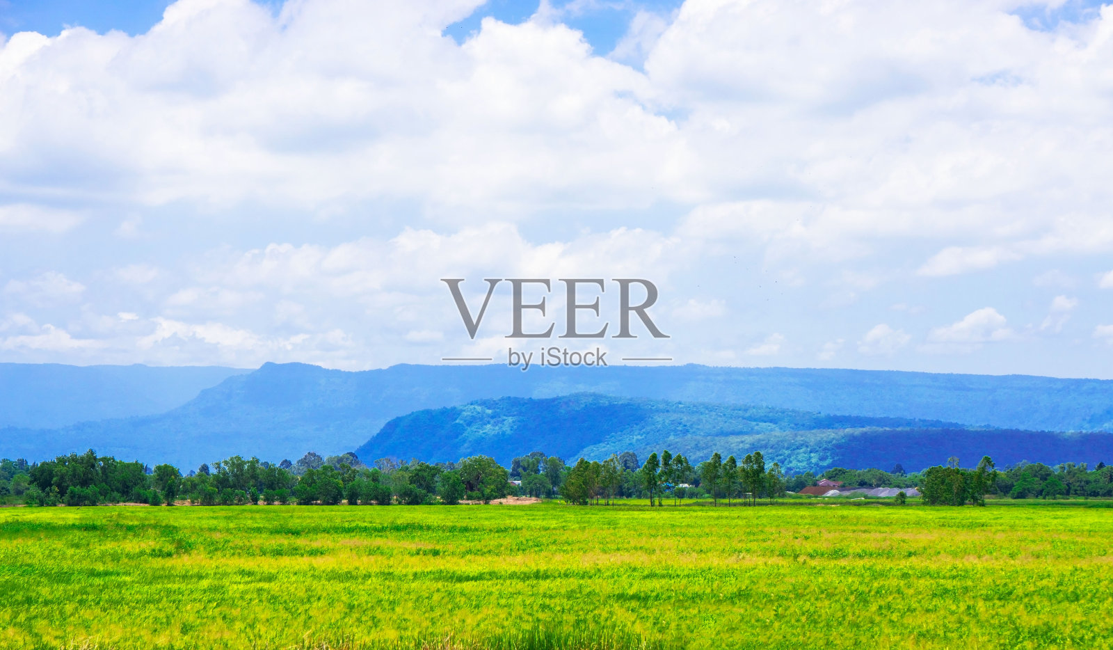 美丽的白天蓝天绿草照片摄影图片