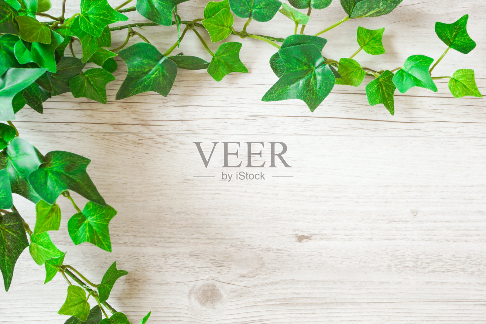 绿色植物和木纹背景材料照片摄影图片