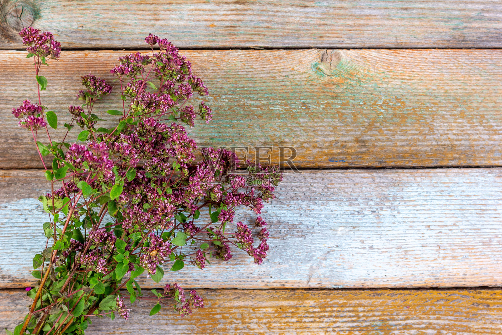 香草,开花牛至的调味小枝,在一个木制的复古背景与复制空间照片摄影图片