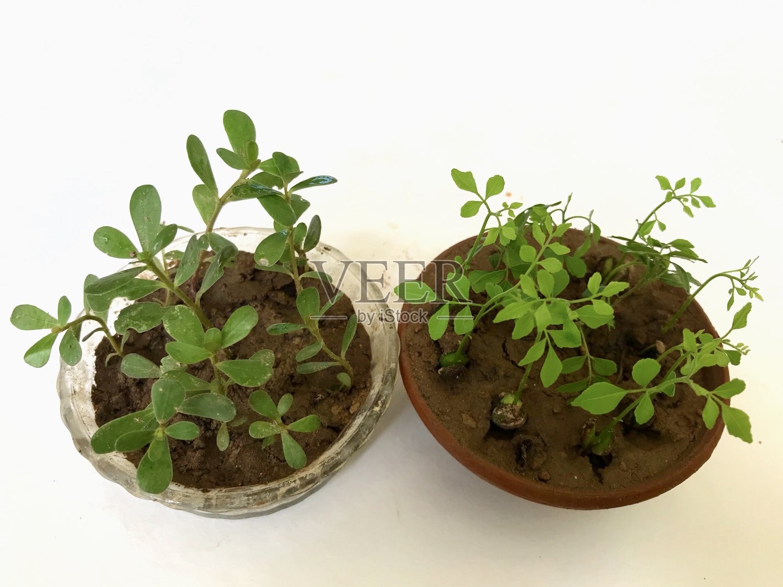 在照片摄影图片