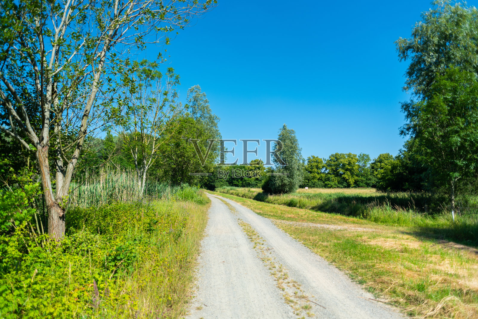 在徒步旅行时,可以看到大自然的美景照片摄影图片