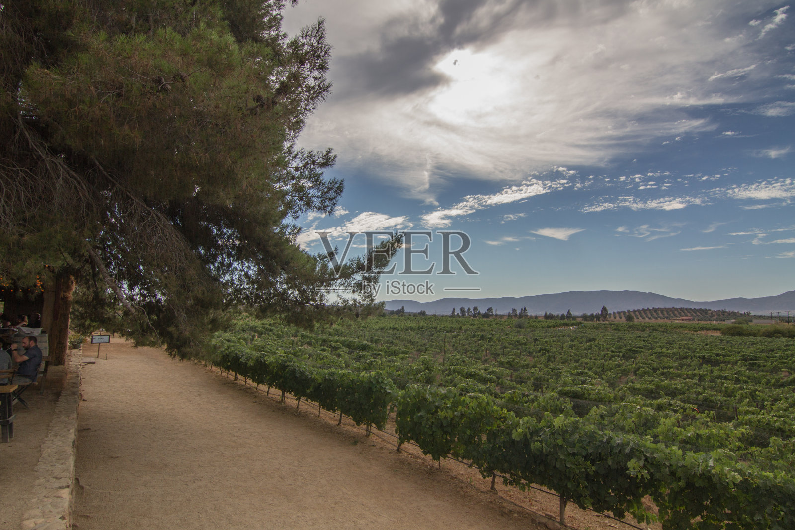 瓜达卢佩山谷的观点照片摄影图片