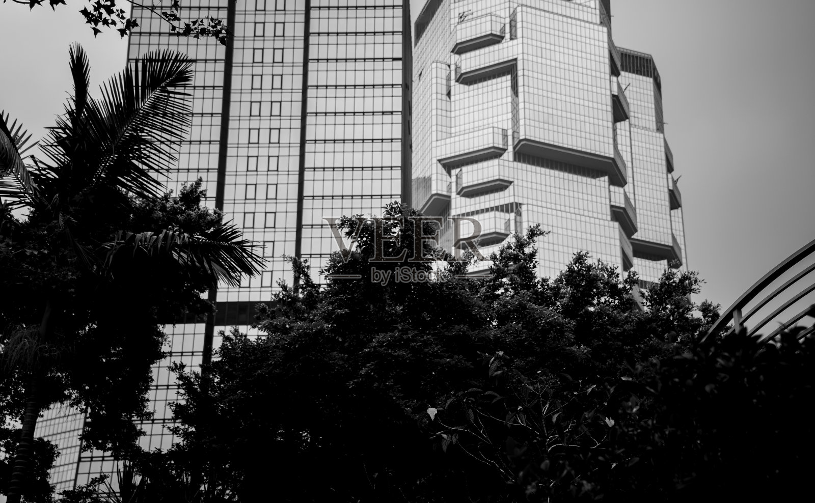 办公大楼近景与树形,经营理念;黑白风格照片摄影图片