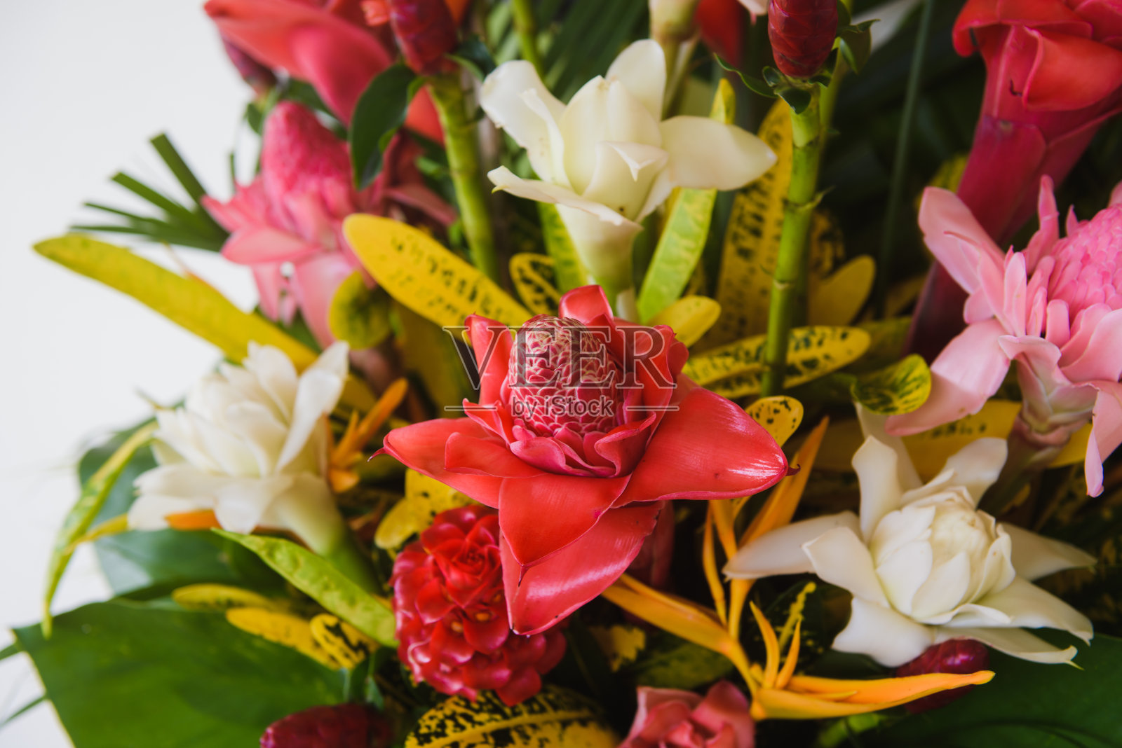 美丽的热带花卉装饰在酒店的桌子照片摄影图片