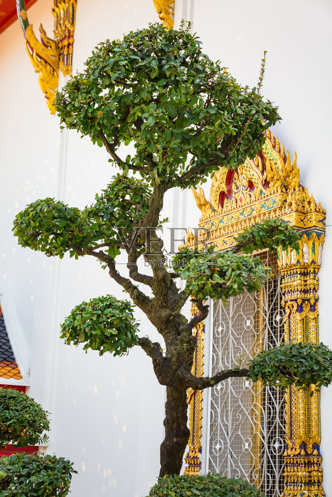 曼谷城市生活照片摄影图片