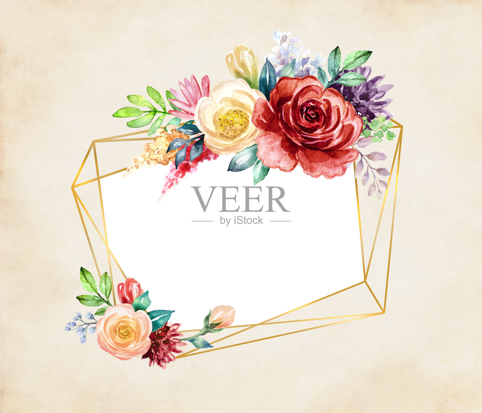 水彩植物插图,多边形黄金框架装饰红和白玫瑰和牡丹,波希米亚花卉背景,几何空白贺卡模板插画图片素材