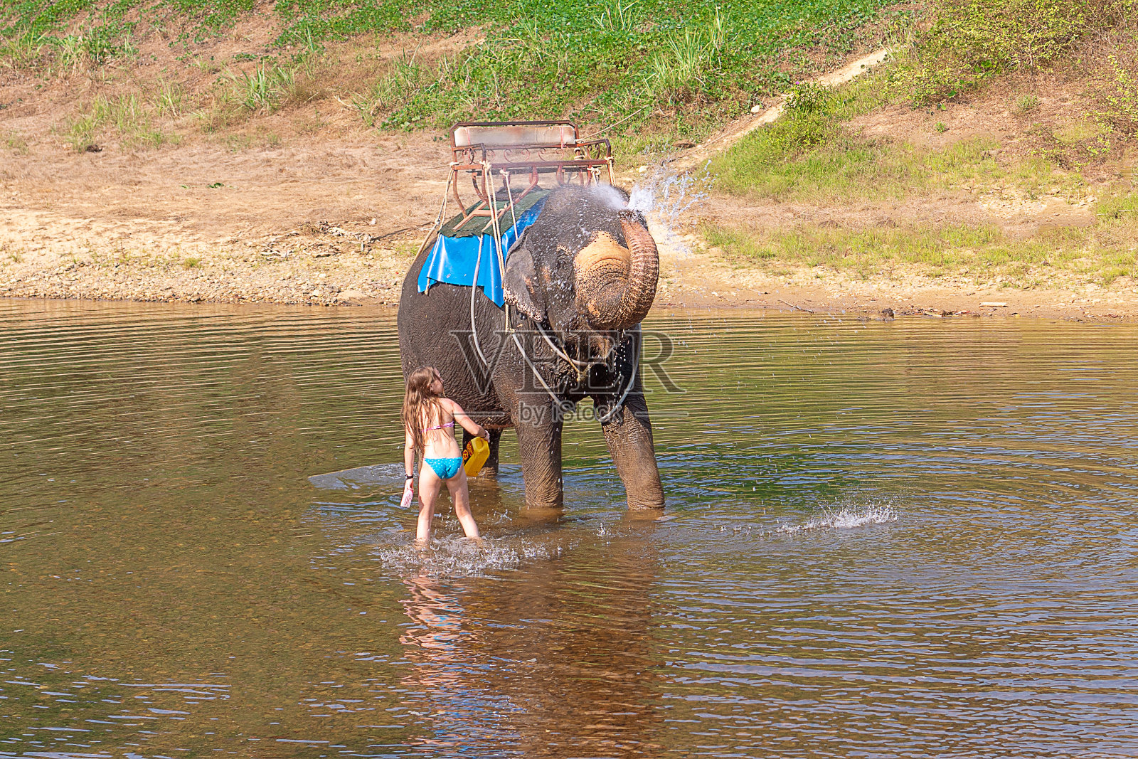 2019年3月24日,泰国普吉岛,一名少女用刷子给大象洗澡。水里有大象的女孩。一只大象泼水照片摄影图片