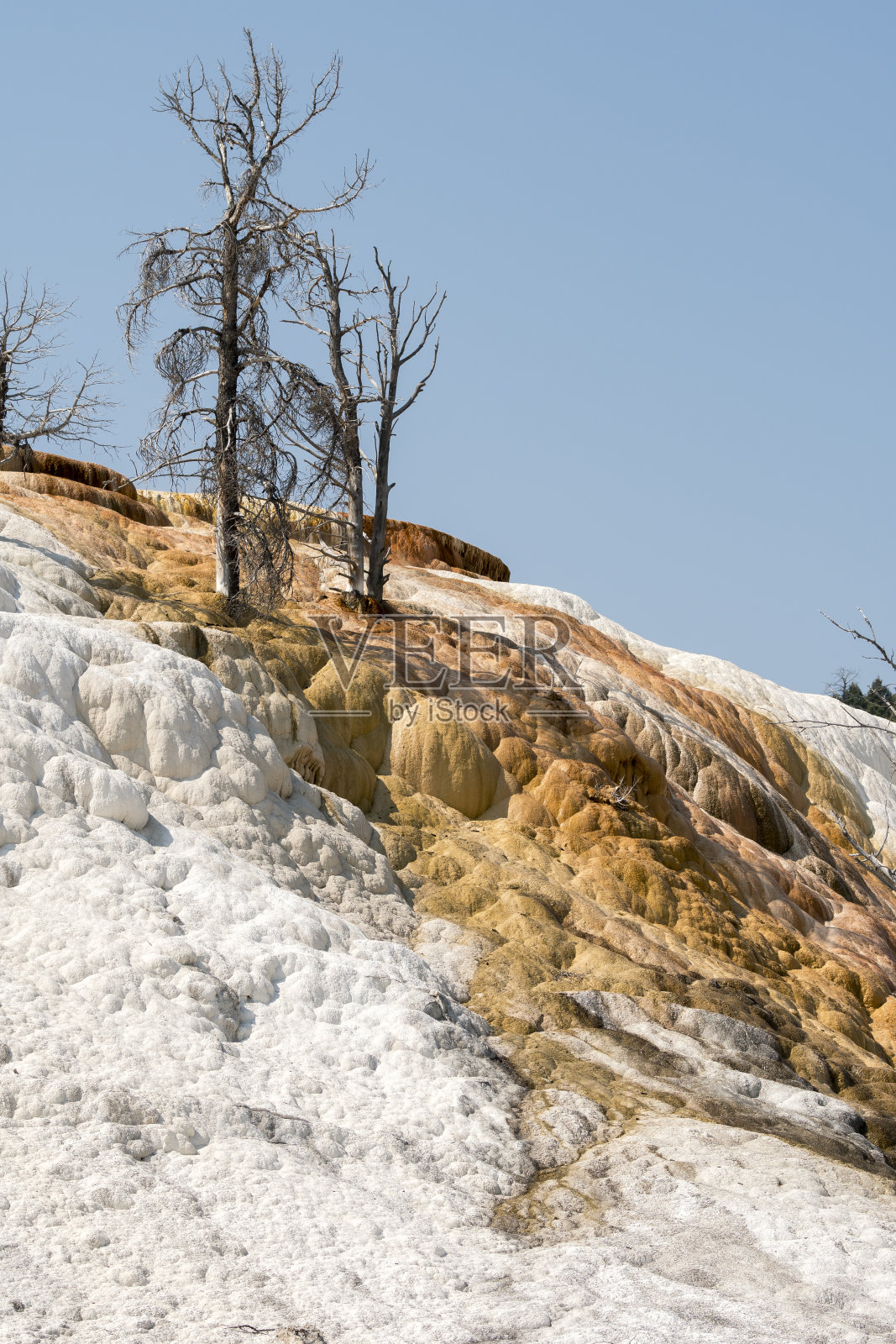 温泉和石灰岩的形成在怀俄明州的猛犸象温泉照片摄影图片