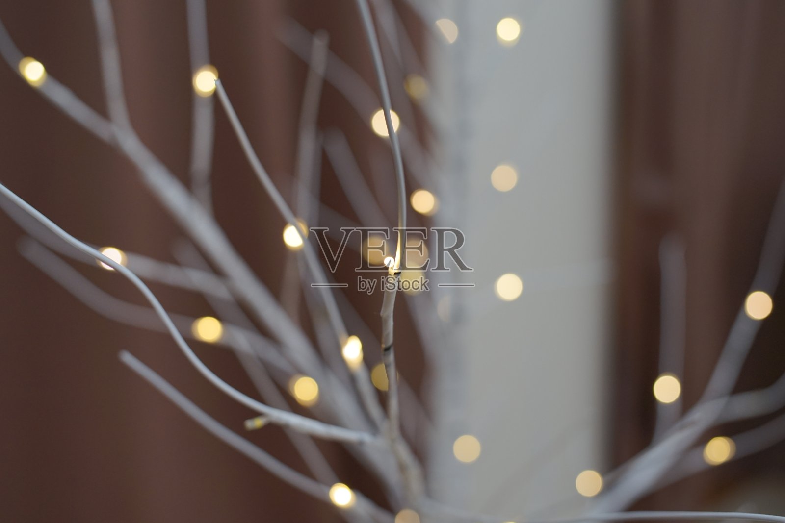 圣诞节的照片照片摄影图片