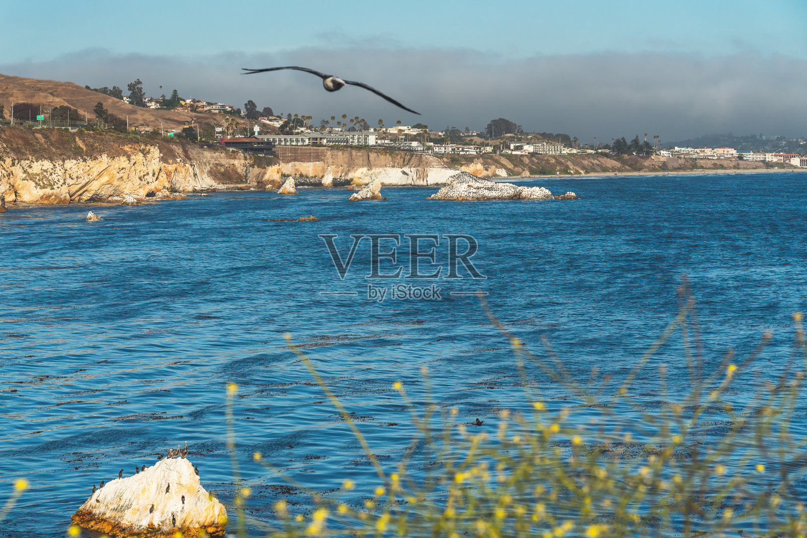 皮斯莫海滩悬崖,加利福尼亚海岸线照片摄影图片