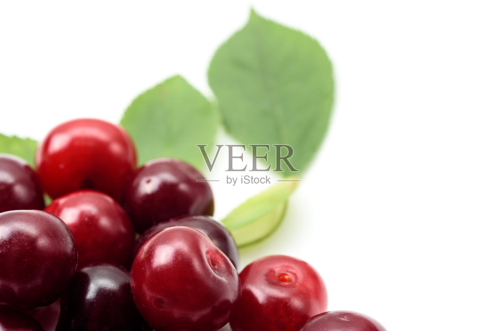 白色背景上的成熟樱桃,特写照片摄影图片