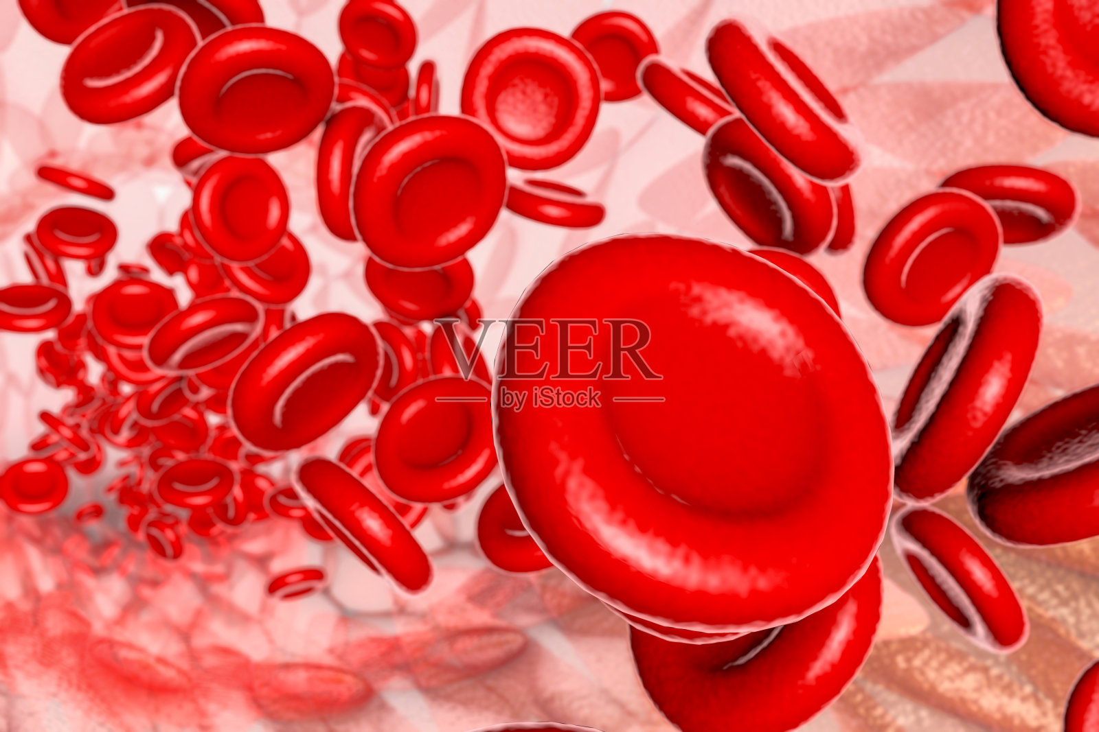 血管内红细胞流动,3D渲染照片摄影图片