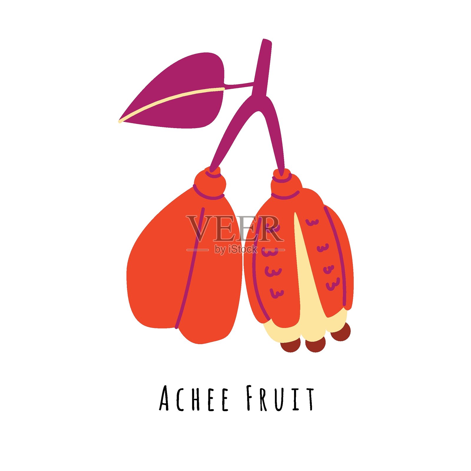 阿奇水果平面矢量插图插画图片素材