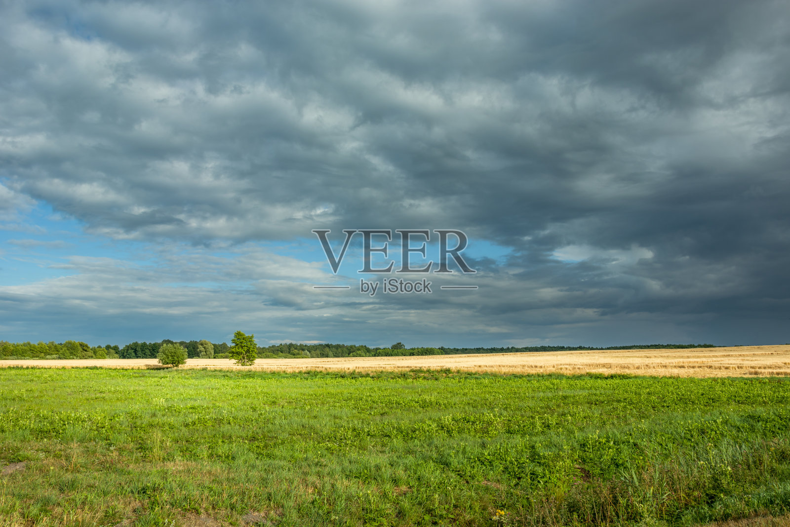 绿色的草地和多云的天空照片摄影图片