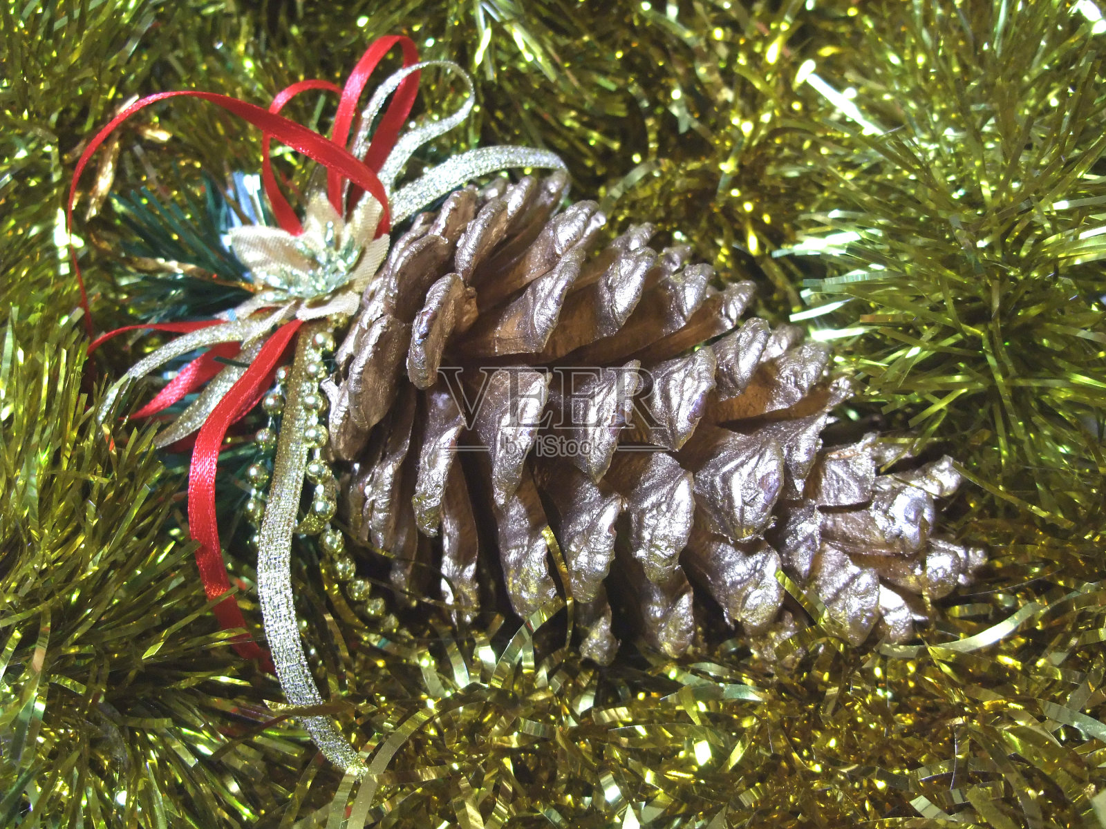 松果照片摄影图片