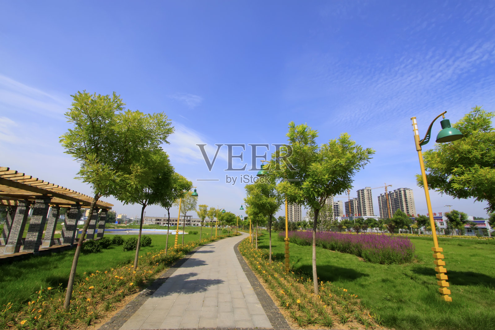 中国北方的一个公园里有绿树和小路照片摄影图片