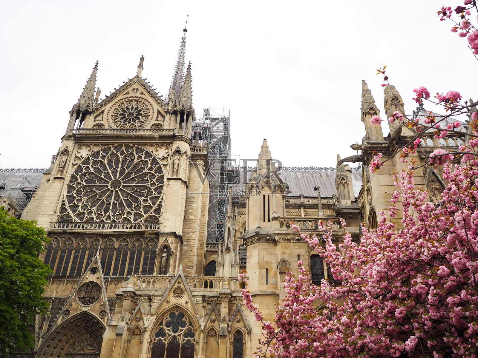 法国巴黎圣母院大火前世界遗产游客们都想去看看它。照片摄影图片