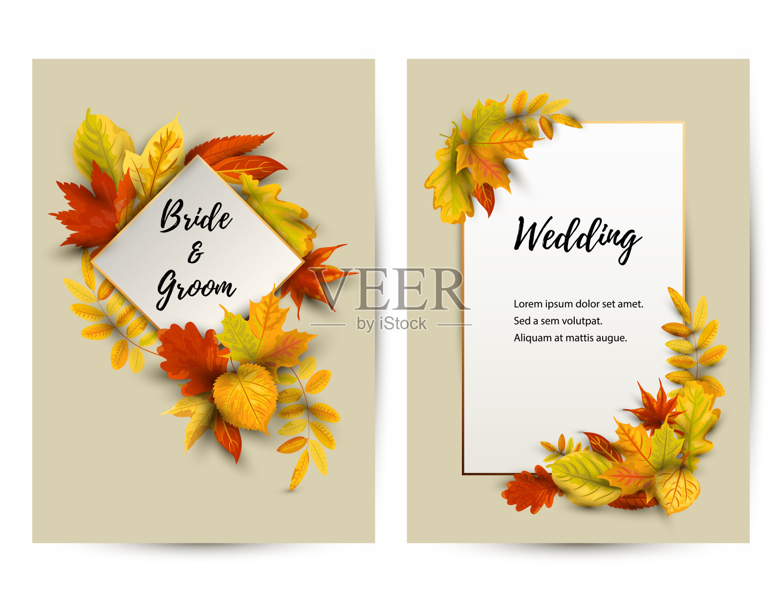 婚礼请帖,落叶集。插画图片素材