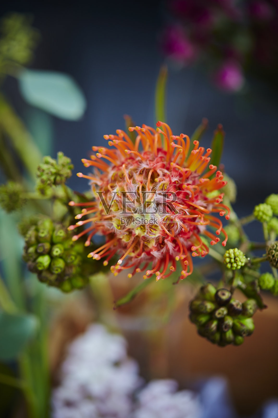 花照片摄影图片