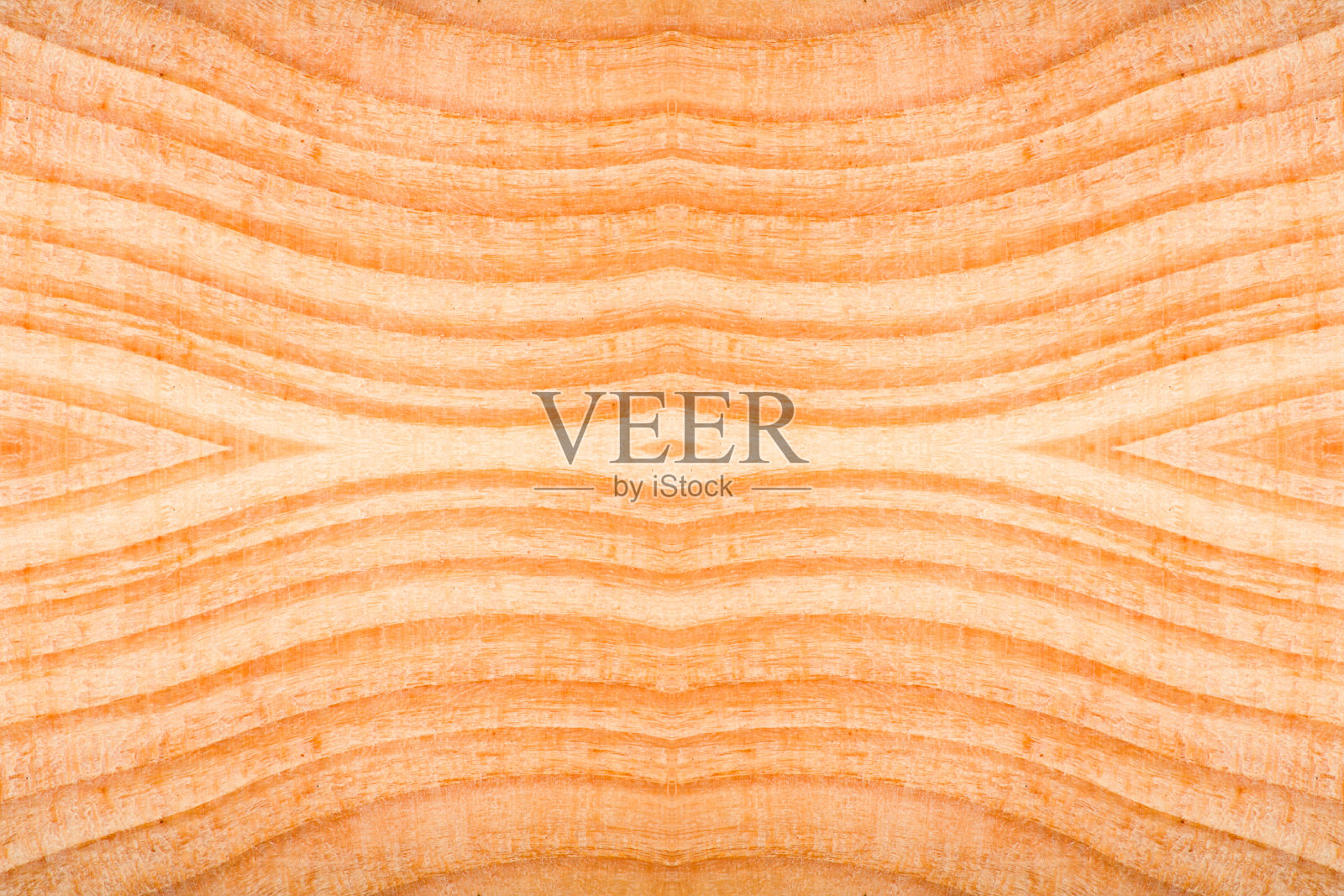 各种图案树木的横截面照片摄影图片