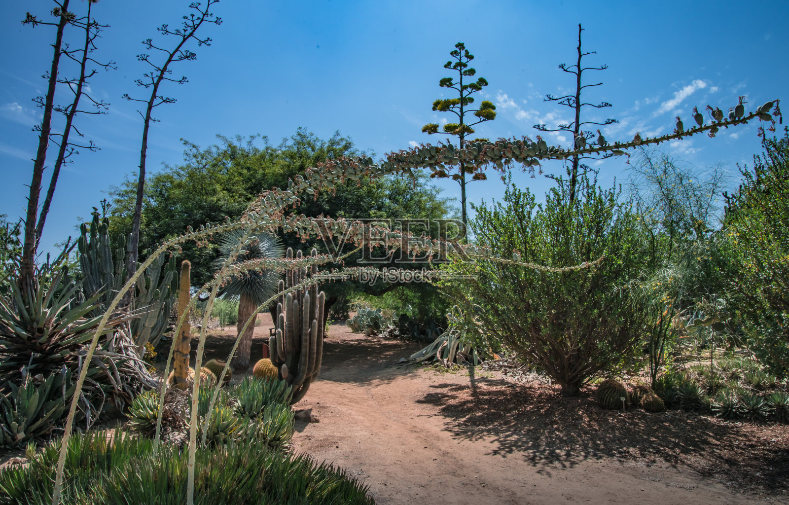 指定照片摄影图片