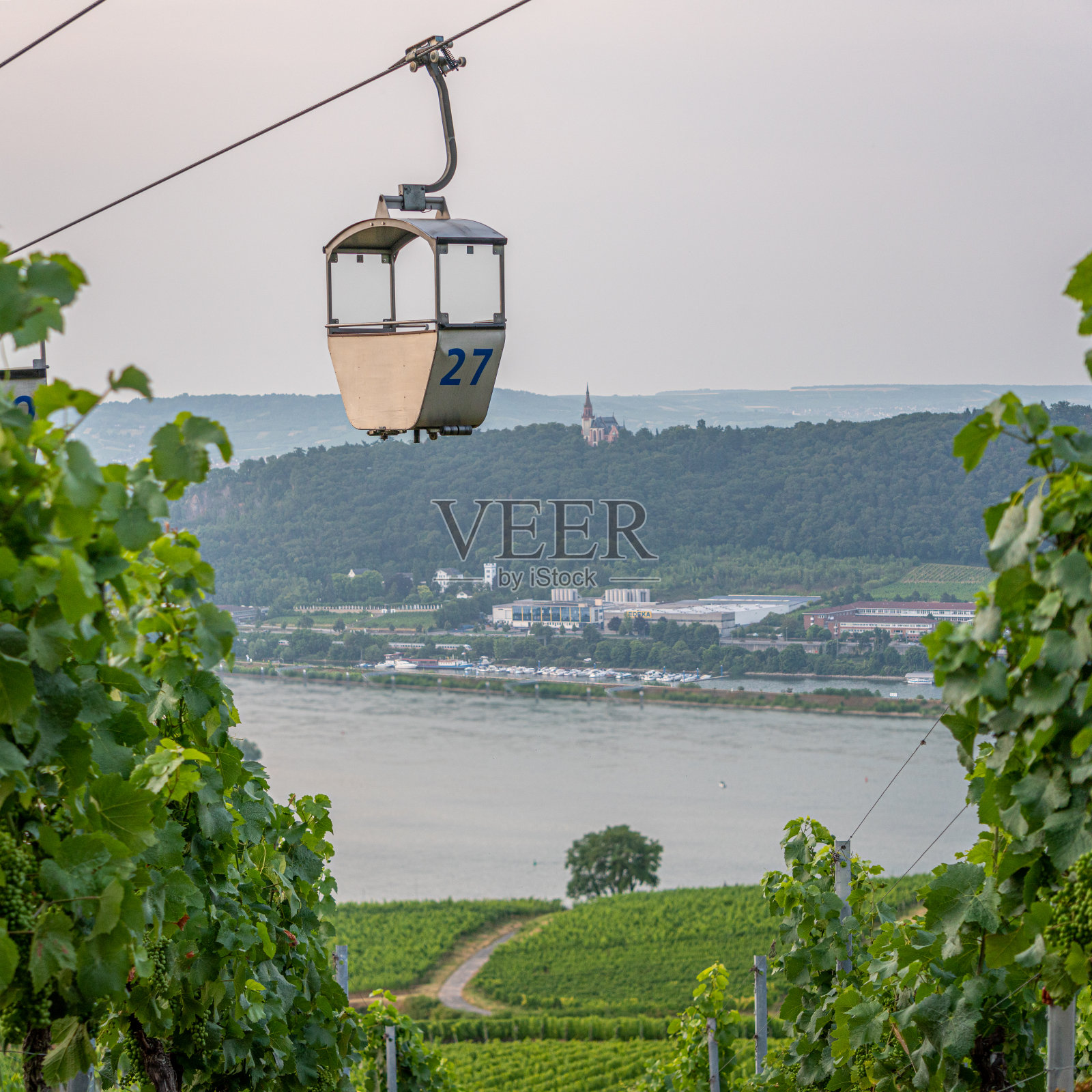 德国莱茵鲁德斯海姆的索道照片摄影图片