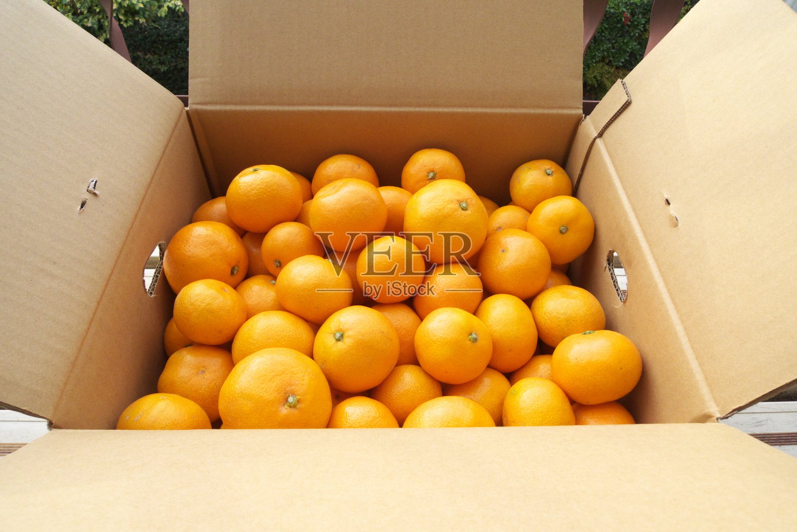 盒子里装着从农场运来的新鲜柑橘照片摄影图片