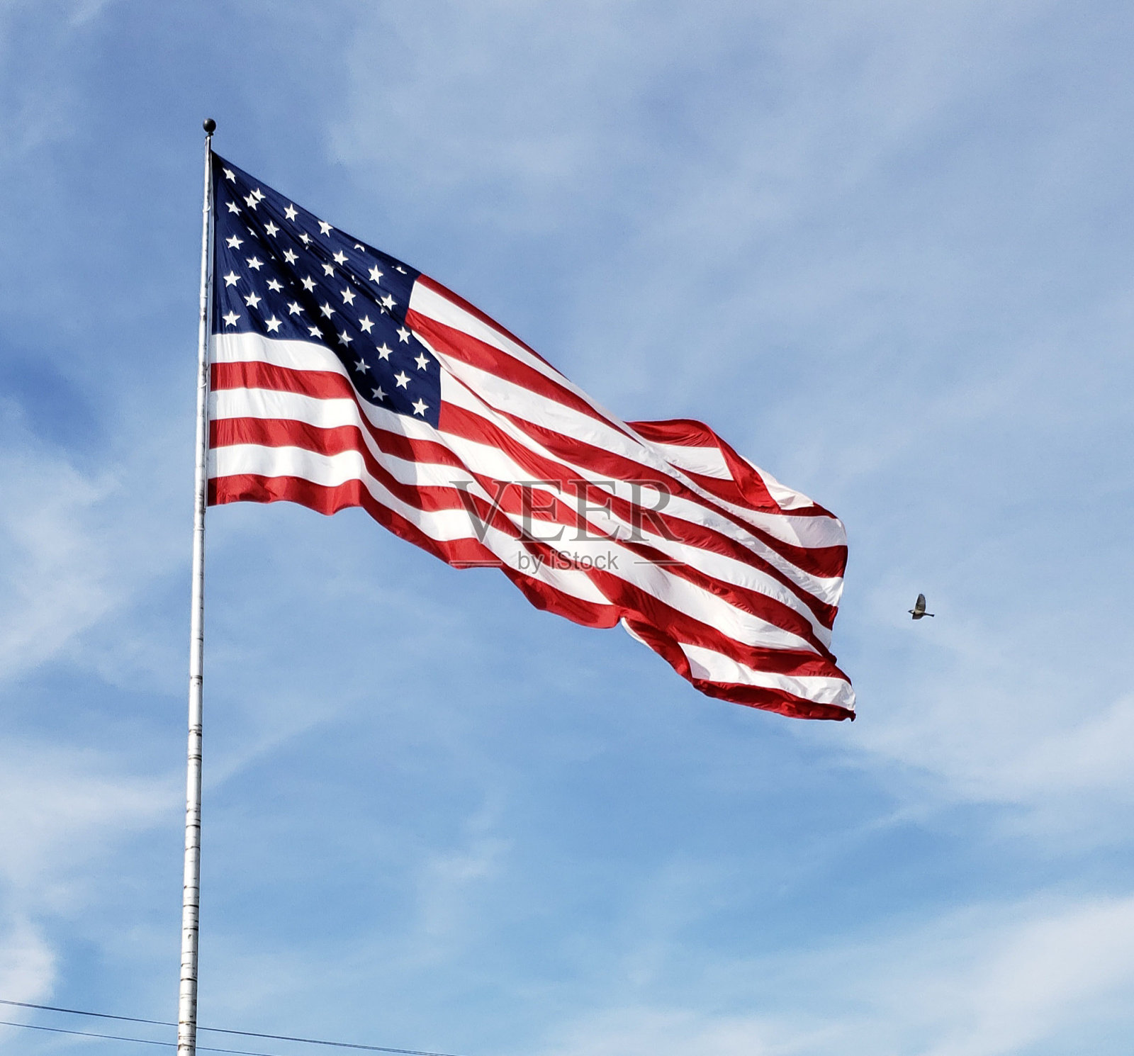 大美国国旗与鸟伸展照片摄影图片
