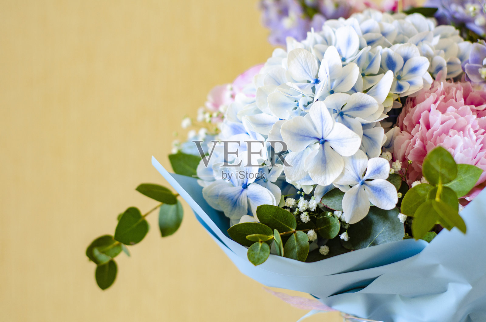 一束鲜花特写。牡丹,绣球花。照片摄影图片