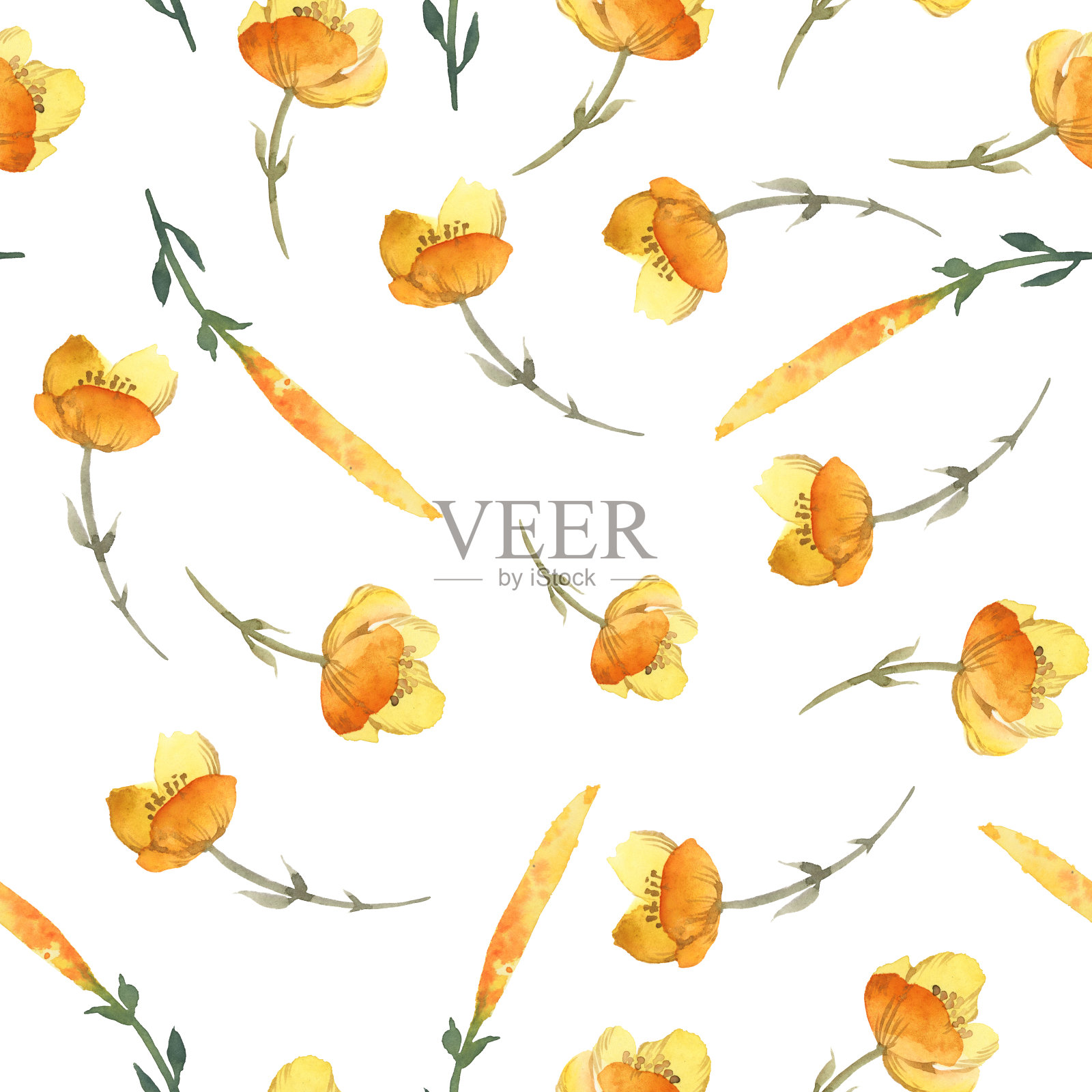 水彩插图。无缝模式的不同野花孤立在白色背景。插画图片素材