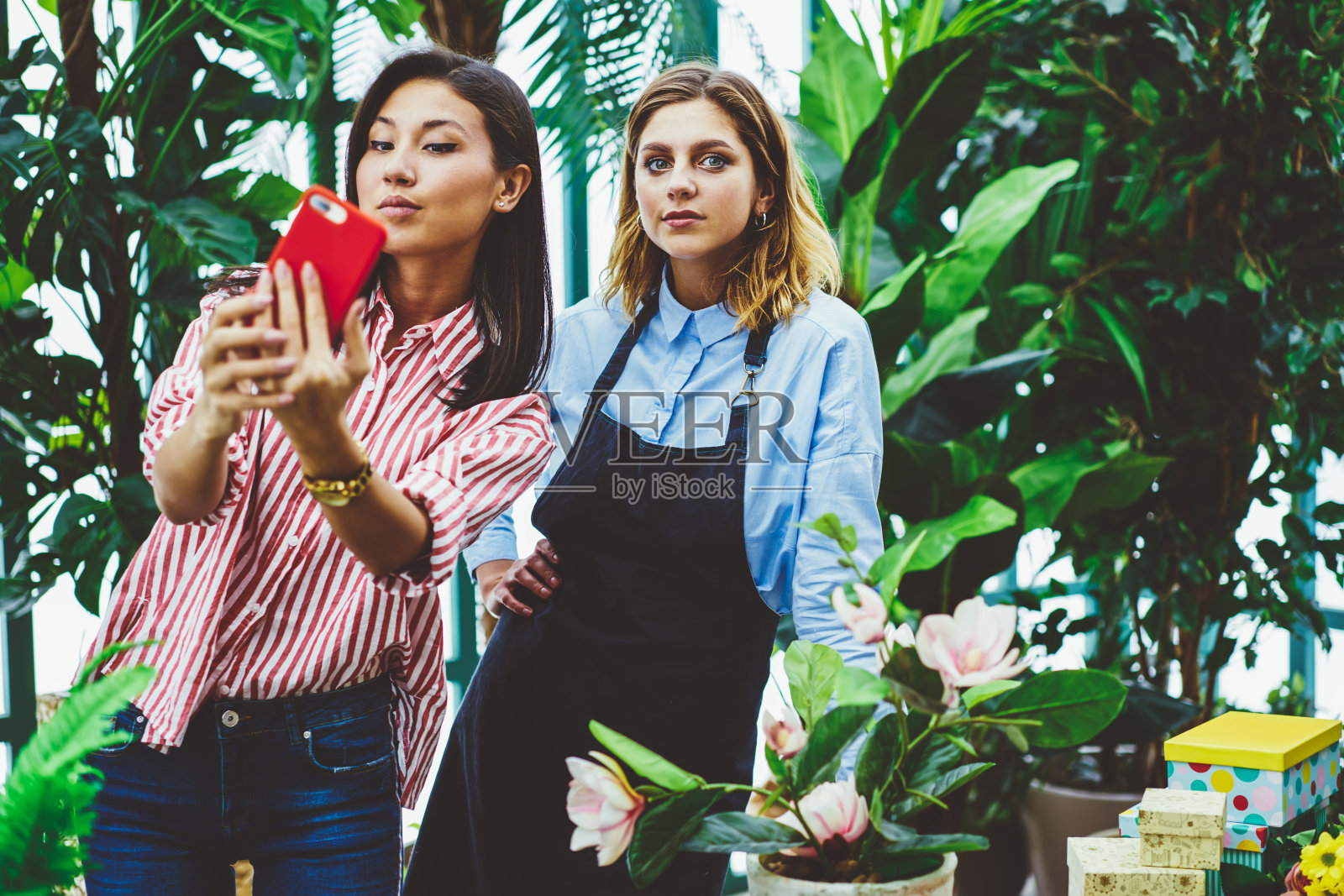 快乐的亚洲女人用智能手机自拍与橙园的业主在网络上分享,同事在温室工作过程中用手机应用拍照照片摄影图片