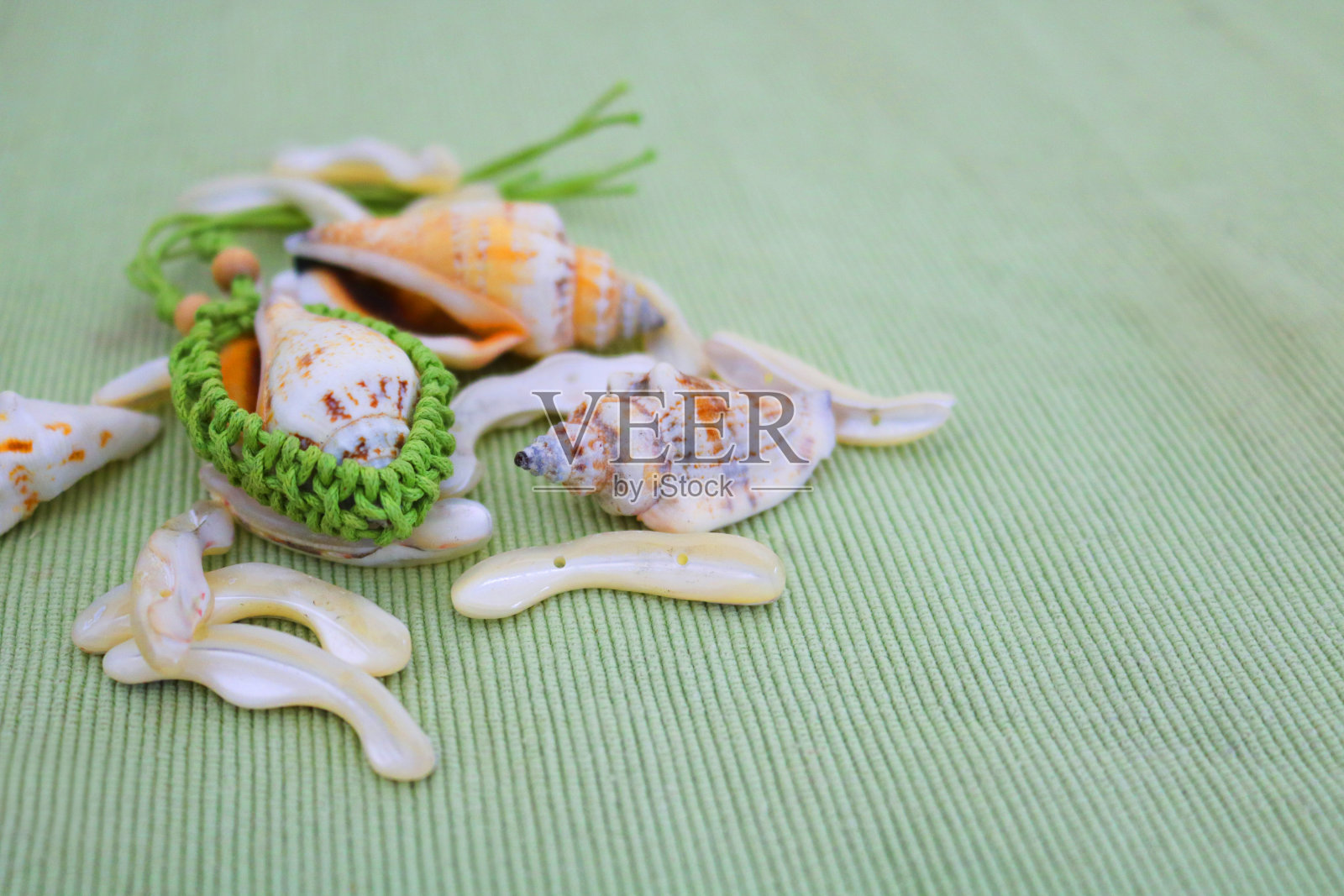 贝壳的海洋成分照片摄影图片