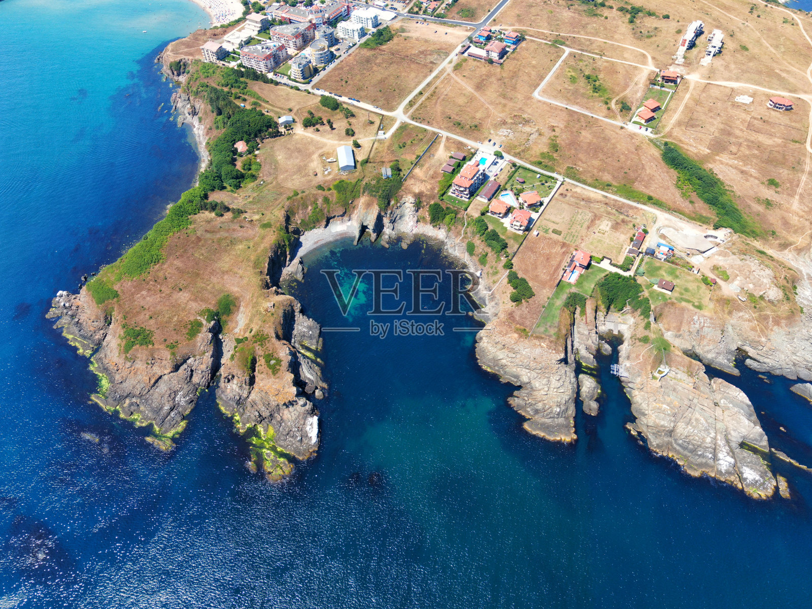 默认的照片摄影图片