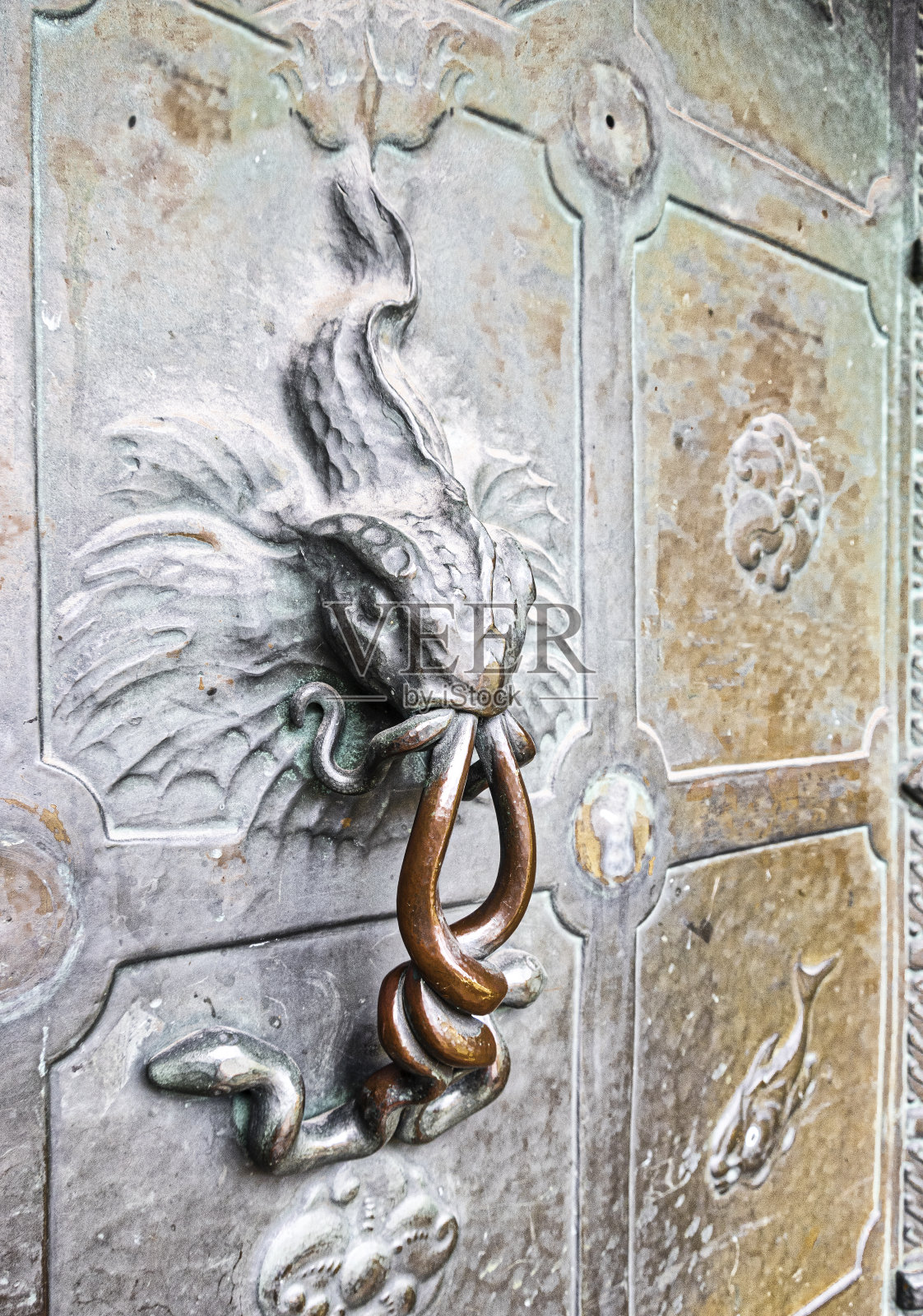 鱼点缀照片摄影图片