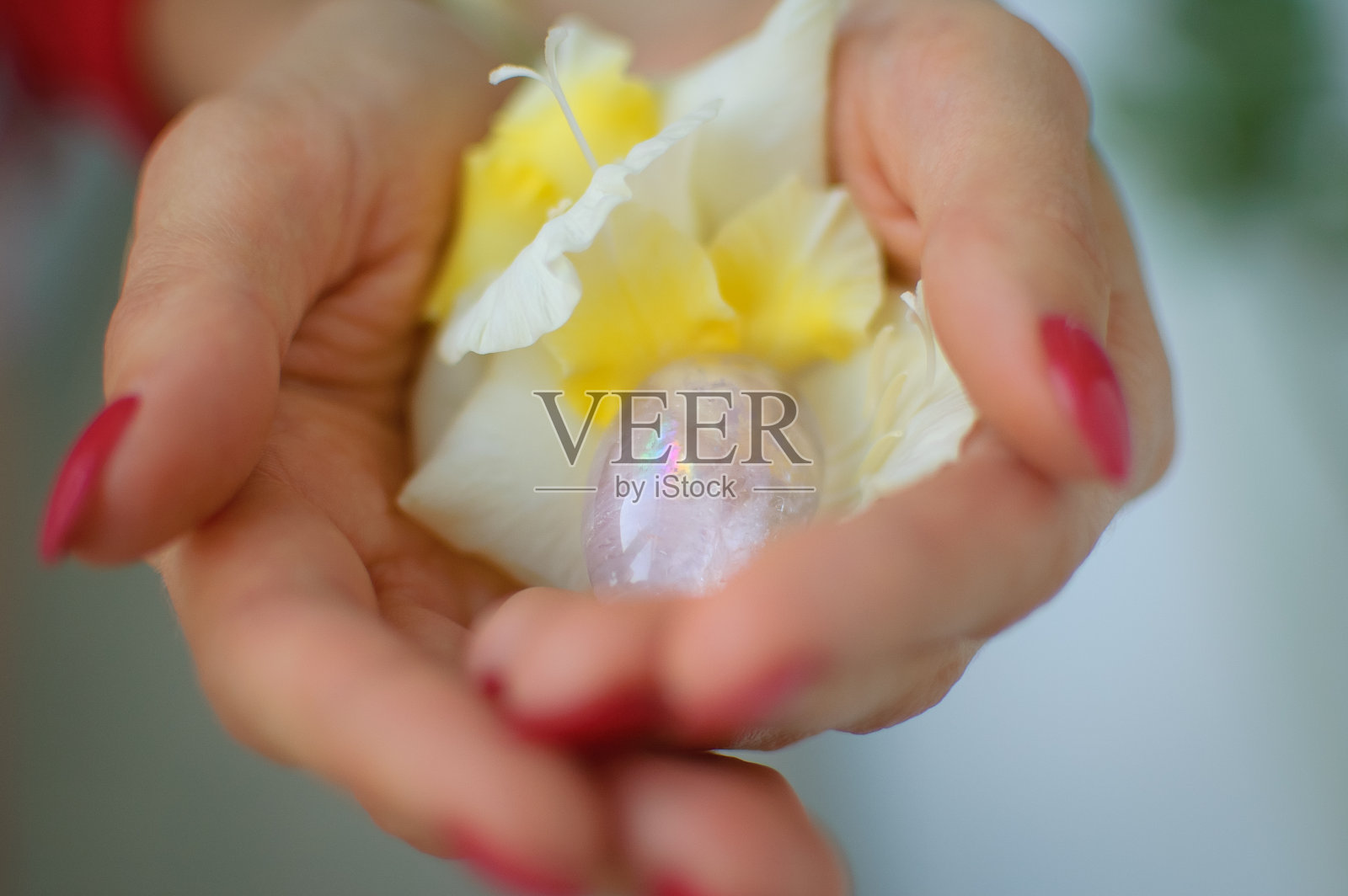 室内照片的女性手拿着一个阴户蛋和白色和黄色的剑兰花。透明的紫罗兰紫水晶为vumfit,建筑或冥想与彩虹内。照片摄影图片