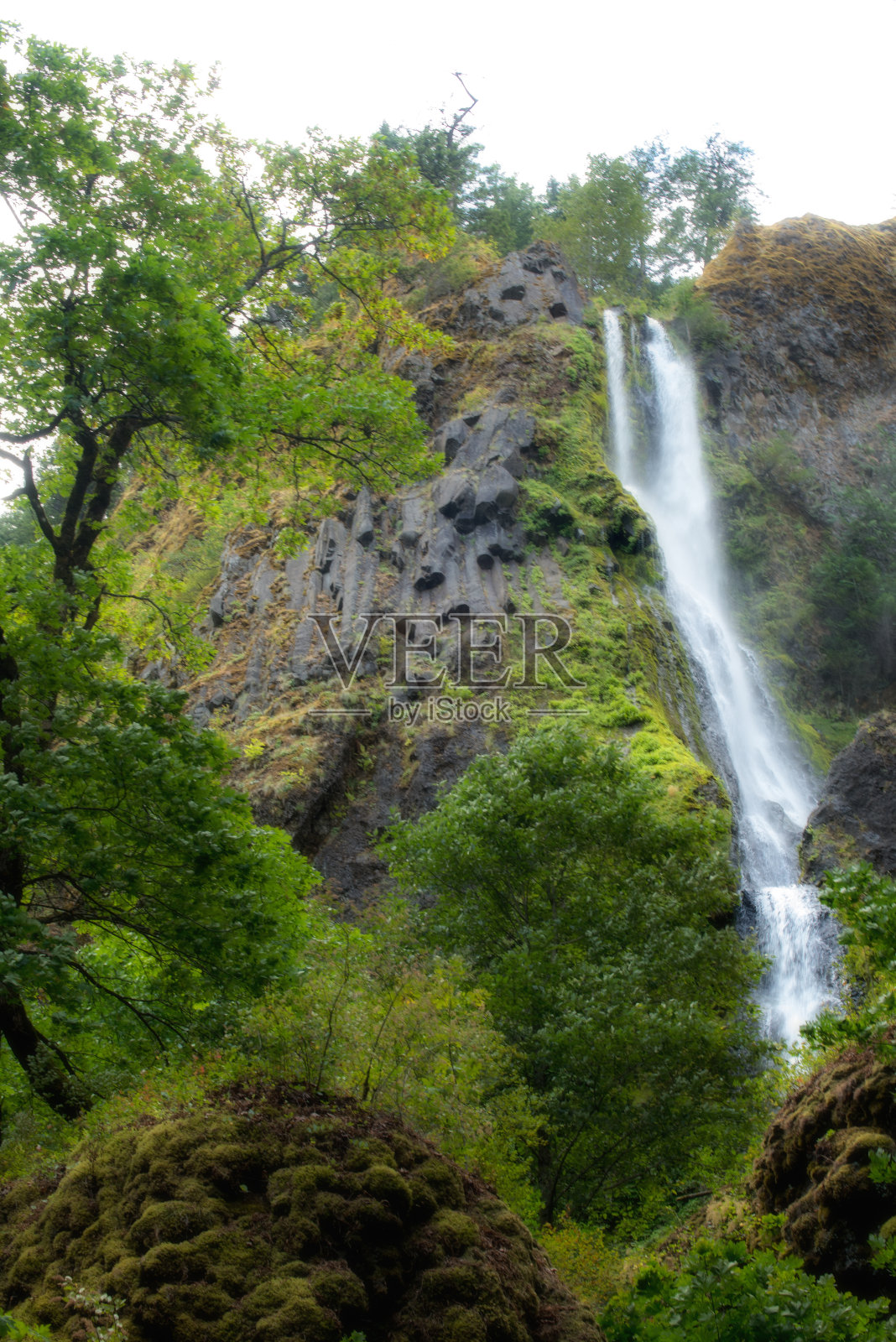 俄勒冈州森林中的瀑布照片摄影图片