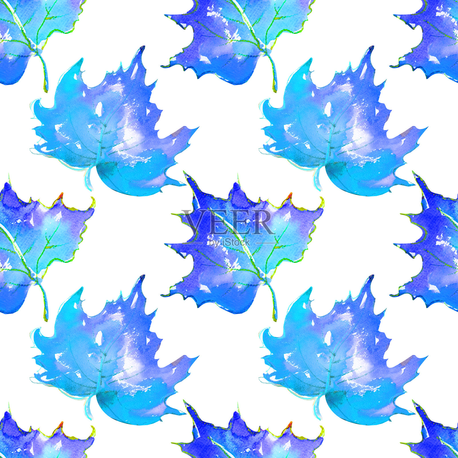 秋天的落叶插画图片素材