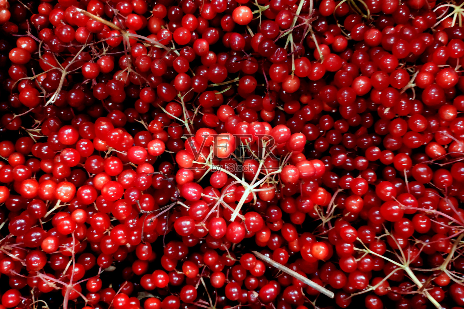 农贸市场的新鲜荚蒾塑料容器。健康饮食的天然有机食品。照片摄影图片