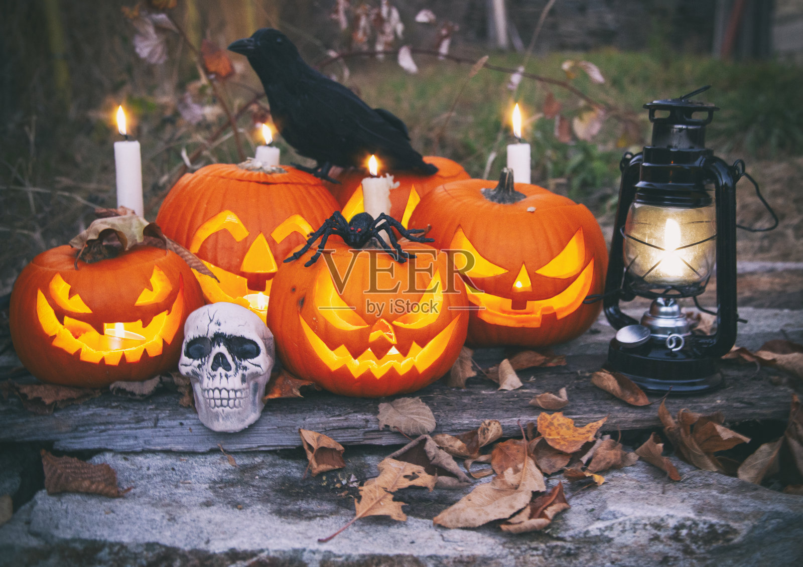 万圣节南瓜灯南瓜照片摄影图片