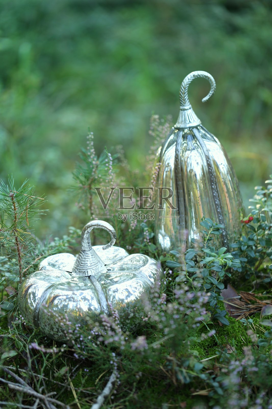 秋天的概念。装饰银色南瓜设置在森林鲜花和草。秋天的季节。秋天的时间照片摄影图片