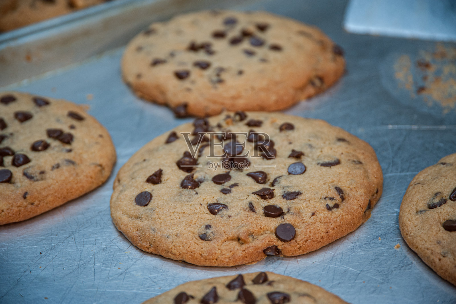 新鲜烘焙的巧克力饼干照片摄影图片