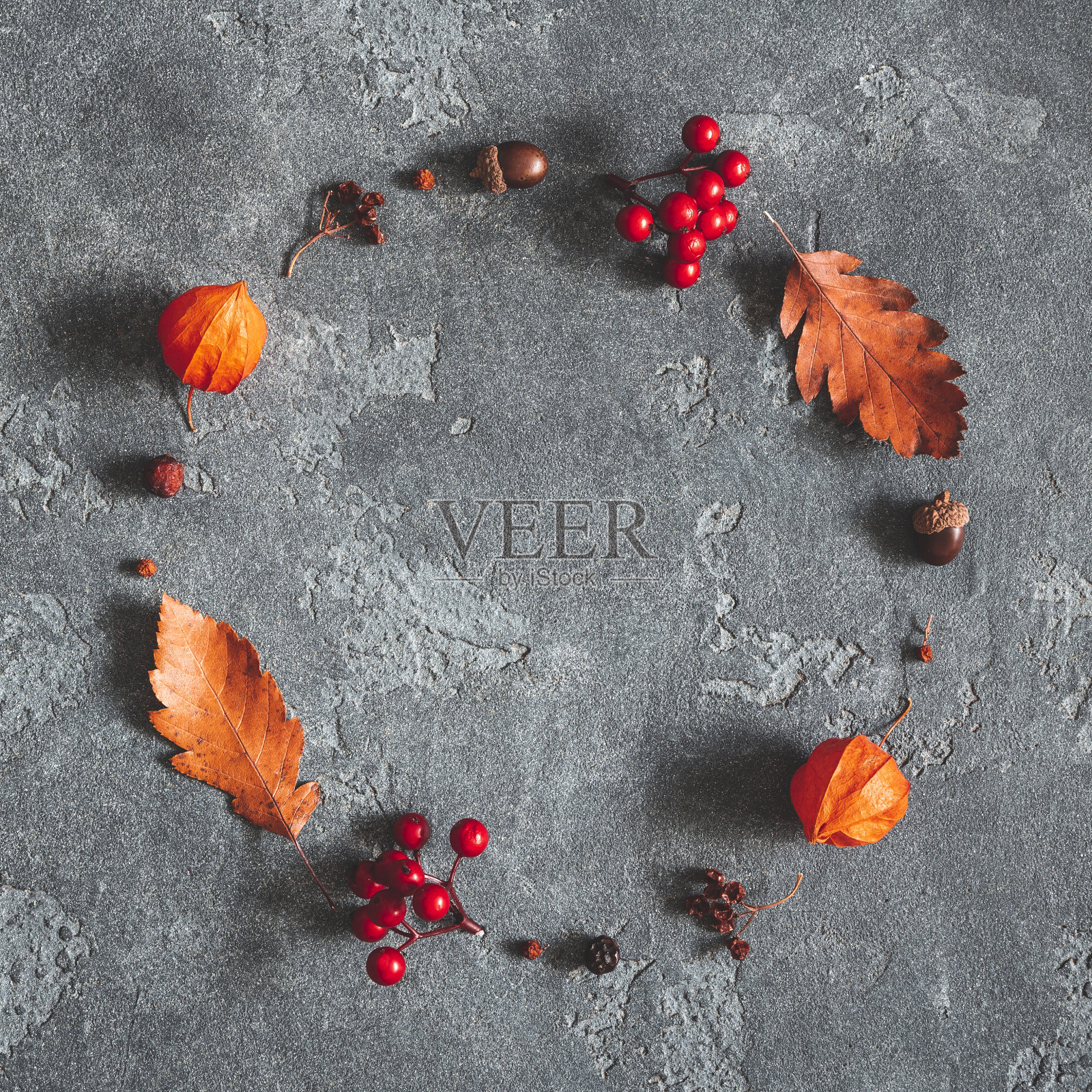 秋天的成分。花环由秋天的花,叶,浆果在黑色的背景。平铺,俯视图,复制空间,正方形照片摄影图片