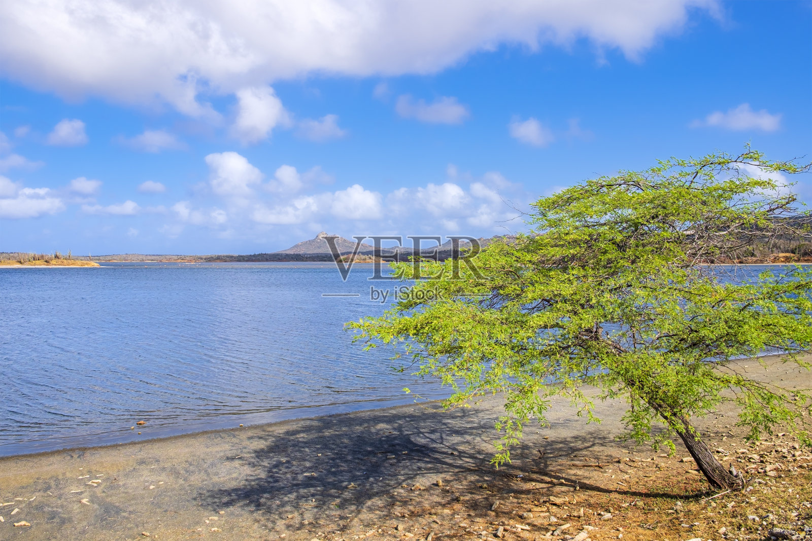 博内尔, 戈托湖 - 戈托默照片摄影图片