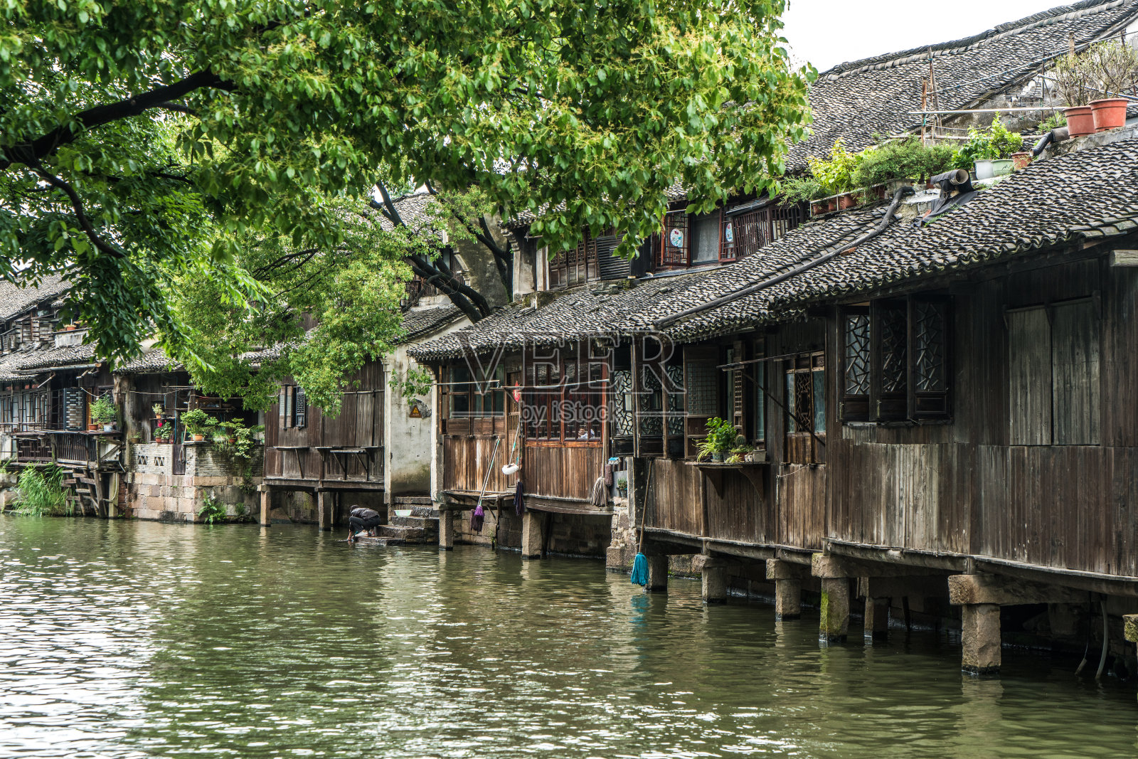 乌镇,中国照片摄影图片