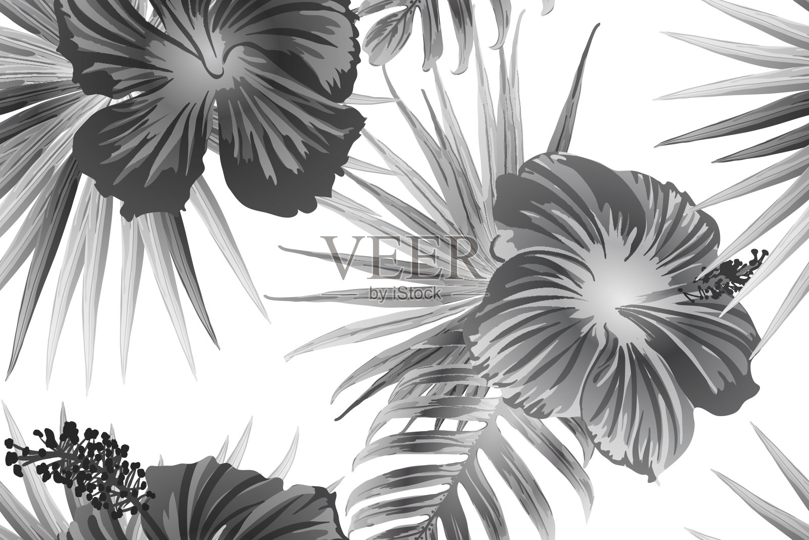 黑白奇异图案。插画图片素材