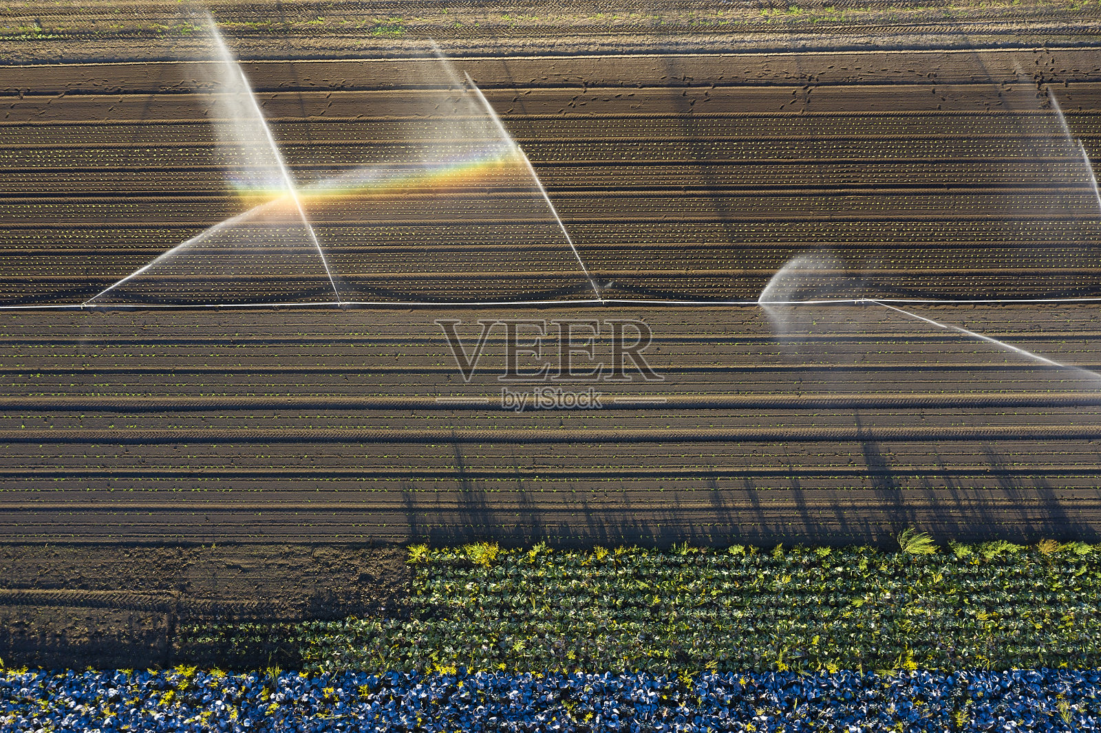 灌溉设备,水田,鸟瞰图照片摄影图片