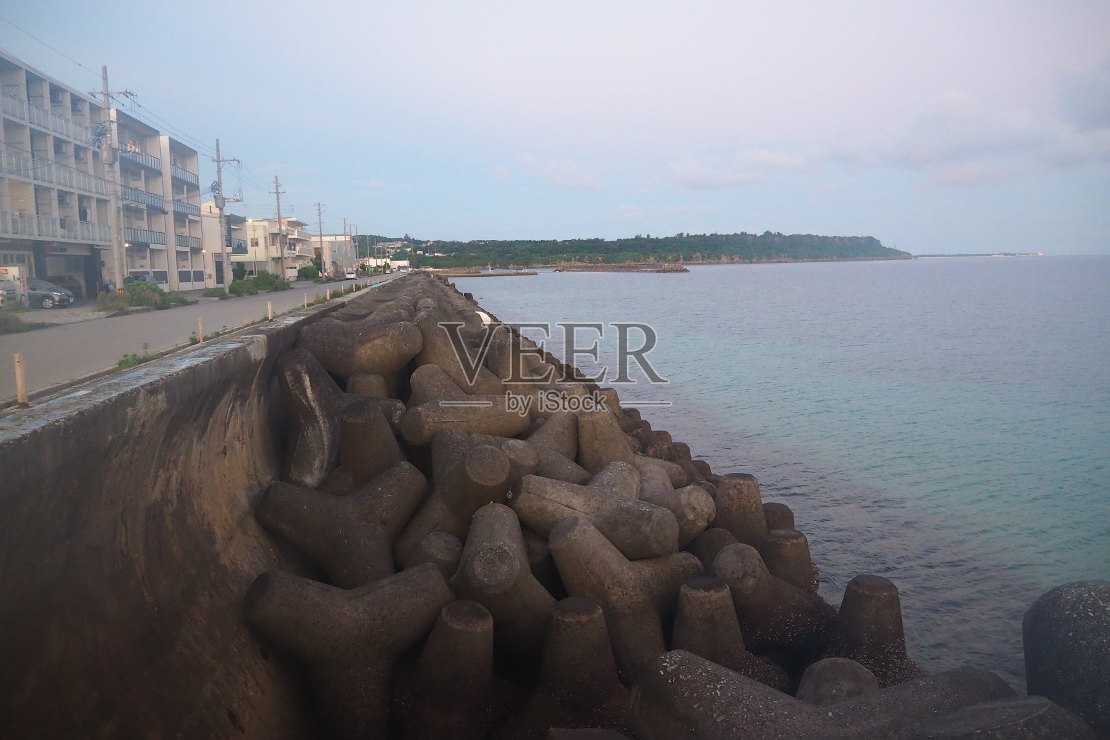 海堤,四足动物照片摄影图片