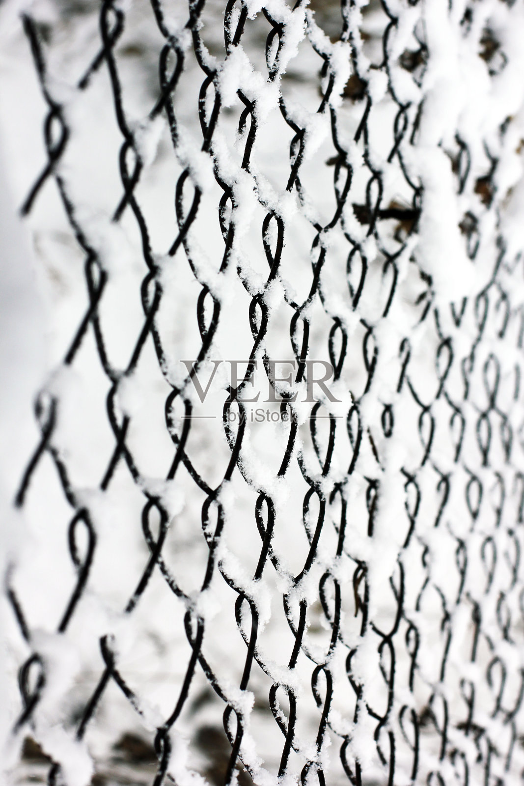 方格在雪地里。带白霜的金属网照片摄影图片