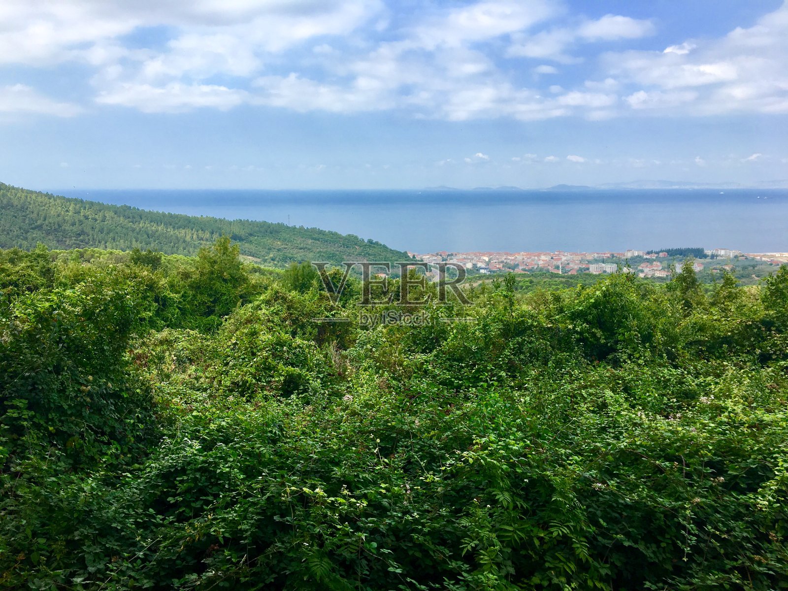 夏季自然绿色森林云海天际线景观照片摄影图片