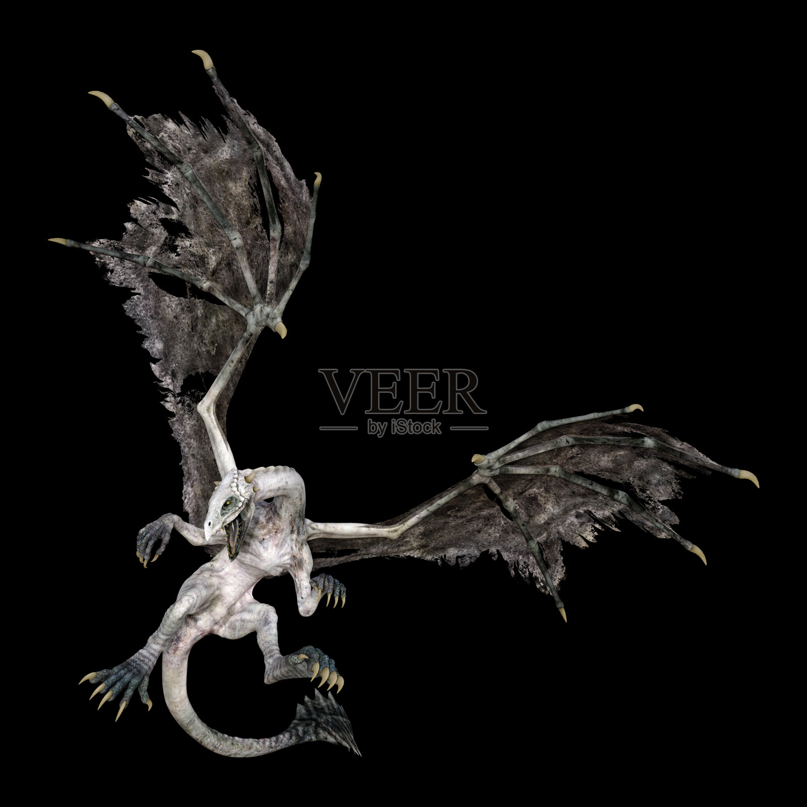3D插图幻想龙在黑色照片摄影图片